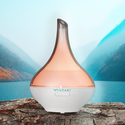 Imagen de Difusor VINTARI Bicolor