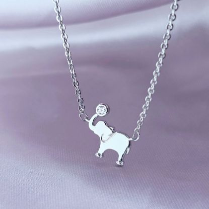 Imagen de Collar Elefante y su Pelota