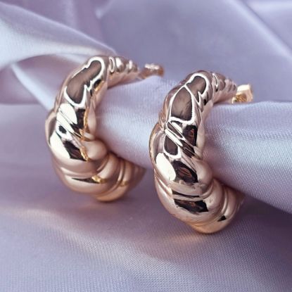 Imagen de Arracada Glam