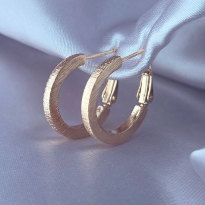 Imagen de Arracada Discreta y Perfecta