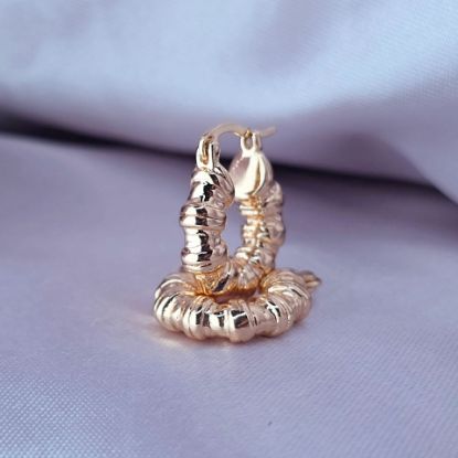 Imagen de Arracada Caracol de Oro