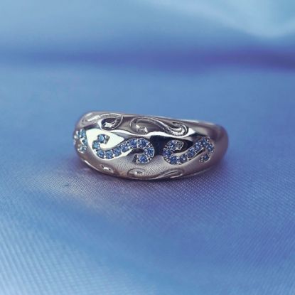 Imagen de Anillo Sabidurías