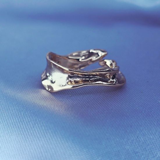 Imagen de Anillo Innovador
