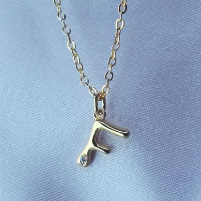 Imagen de Collar con Pequeño Brillo Inicial F  4501