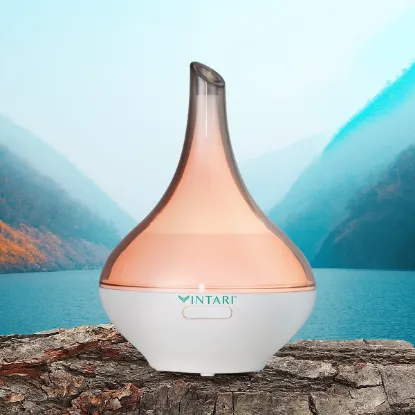 Imagen de Difusor Vintari Bicolor