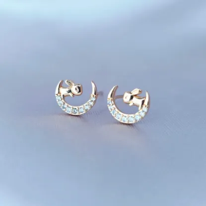 Imagen de Broquel Conejito Admirando a la Luna