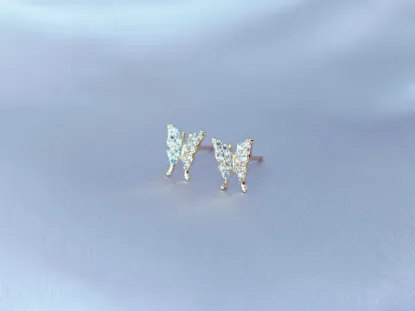 Imagen de Broquel Mariposa Brillosa