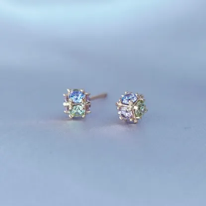 Imagen de Broquel Destellos