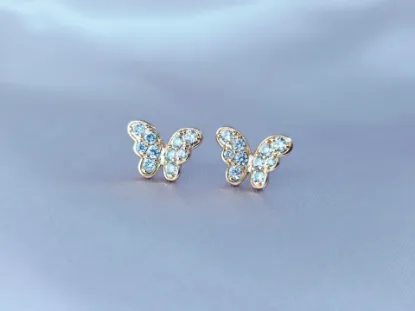 Imagen de Broquel Mariposa Transformación Profunda