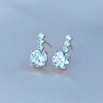 Imagen de Broquel Encantada