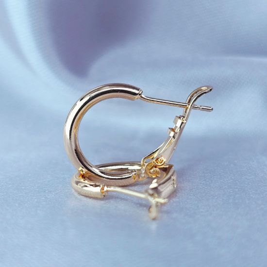 Imagen de Arracada Bonita y Sencilla