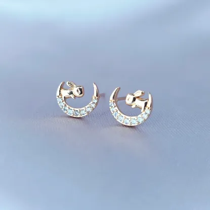 Picture of Bunny Stud Admiring the Moon