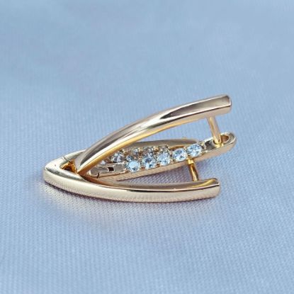 Imagen de Arete Circonias Ocultas