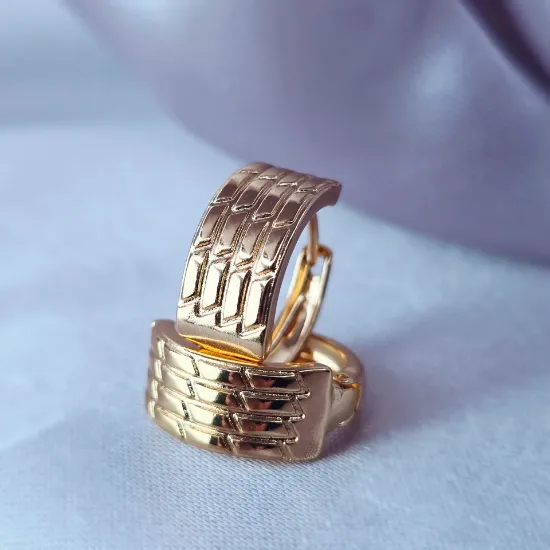 Imagen de Arracada Ladrillos de Oro