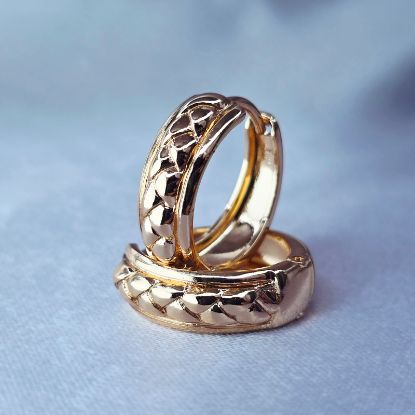 Imagen de Arracada Encanto de Oro