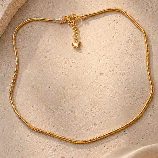 Imagen de Collar Para Dijes