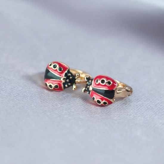 Imagen de Huggie Ladybug