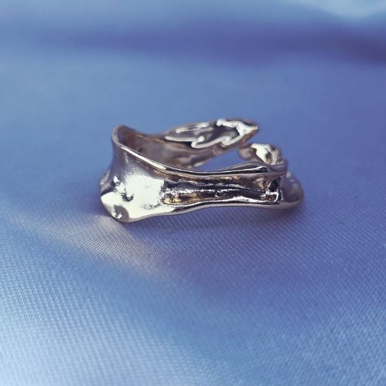 Imagen de Anillo Innovador  8