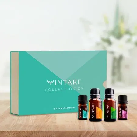 Picture for category VINTARI®